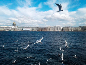 Rio Neva