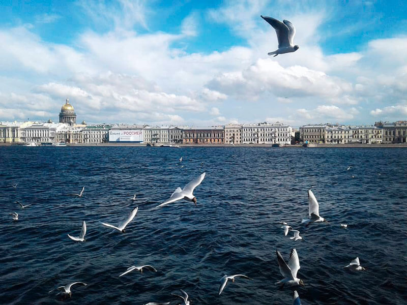 Rio Neva